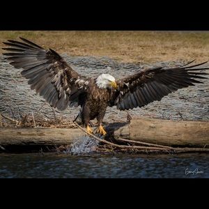 Meet your Posher, Dannielle